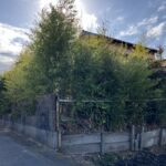 樹木の越境がございます。