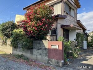 別角度からの撮影です。