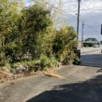 敷地内北東からの撮影です。