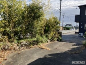 敷地内北東からの撮影です。