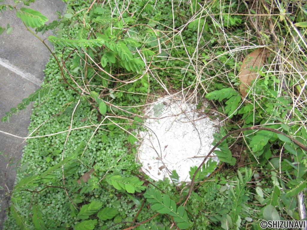 三島市徳倉５丁目　売土地