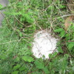 三島市徳倉５丁目　売土地