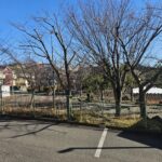 隣接地の公園