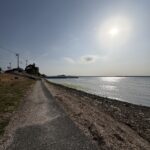 浜名湖沿いもお散歩やサイクリングコースにピッタリです。