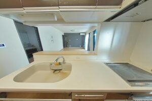 カウンターキッチンで調理をしながらリビングを見守ることができます。