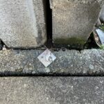 清水町徳倉　売り土地　外観