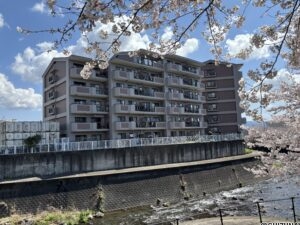 サンシェスタ三島萩　2階　3LDKの物件画像