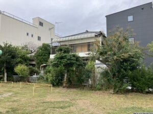 引き角度からの撮影です。