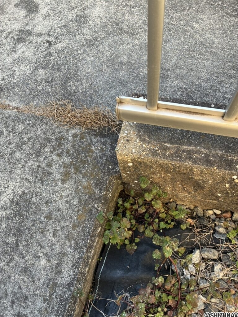 函南町大土肥　中古　境界付近