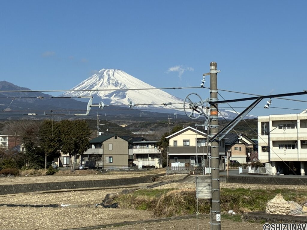 敷地内から見える富士山