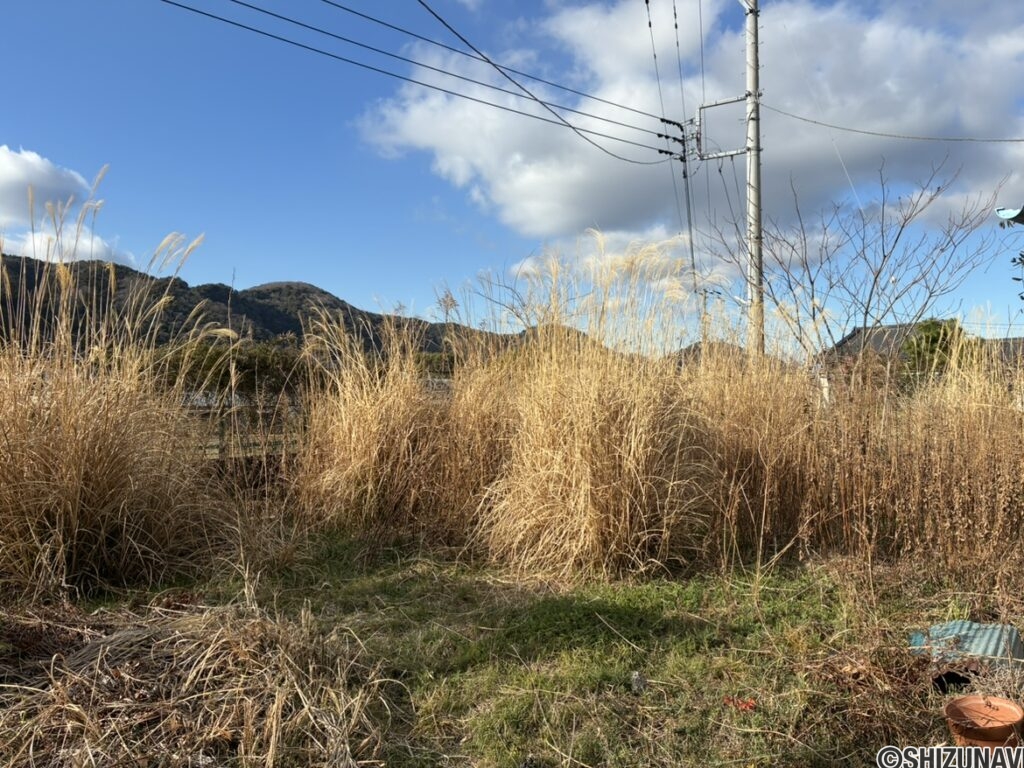 道路側、日当たり良好