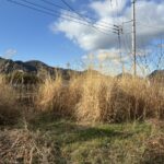 道路側、日当たり良好