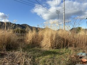 道路側、日当たり良好