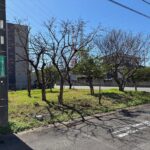 駿東郡長泉町桜堤二丁目　売り土地