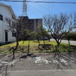 駿東郡長泉町桜堤二丁目　売り土地