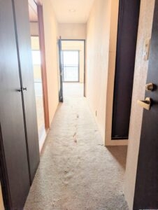 ブライトタウン西伝寺　1005室　最上階の画像