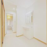 大岩洗面化粧台