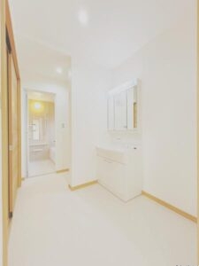 大岩洗面化粧台