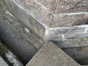 沼津市中原　売土地　境界付近