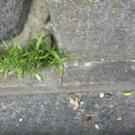 沼津市中原　売土地　境界付近