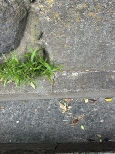 沼津市中原　売土地　境界付近