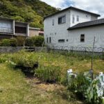 沼津市上香貫　建築条件なし　売土地の画像