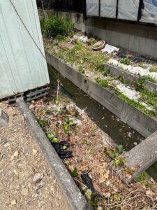 敷地裏水路