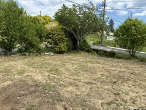 掛川市下垂木　建築条件なし　130坪越えの売り土地ですの物件画像