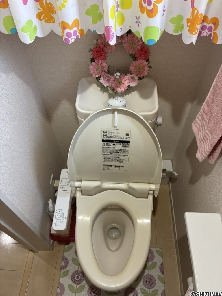 富士市入山瀬２丁目　中古住宅 「鷹岡小学校・鷹岡中学校」の画像