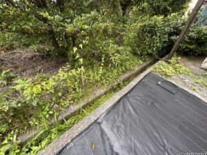 静岡市葵区籠上の売土地　建築条件はありませんの画像