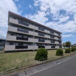 丸子団地S2　304号室　3DKの画像