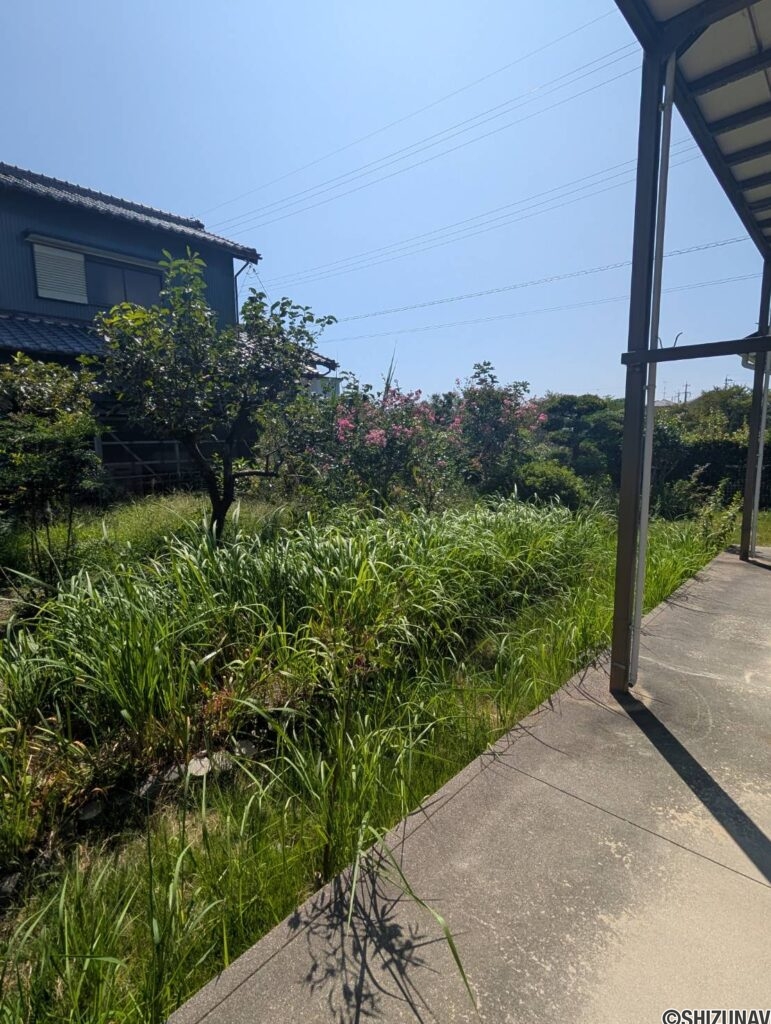 1階からみたお庭