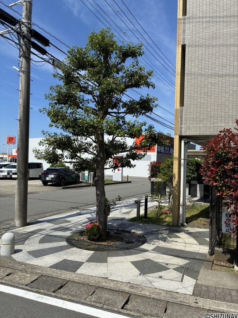 沼津市岡一色　シャリエ沼津607号室　外観