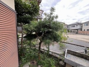 三島市東本町　約60坪の住宅用地の画像