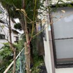 三島市東本町　約60坪の住宅用地の画像