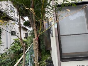 三島市東本町　約60坪の住宅用地の画像