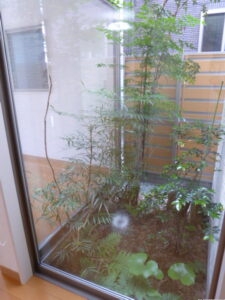 与一2丁目　中庭