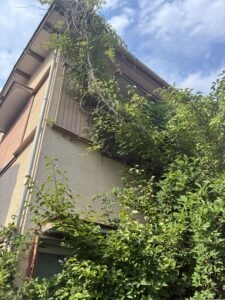 建物①