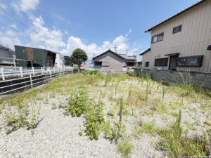 西側から撮影②