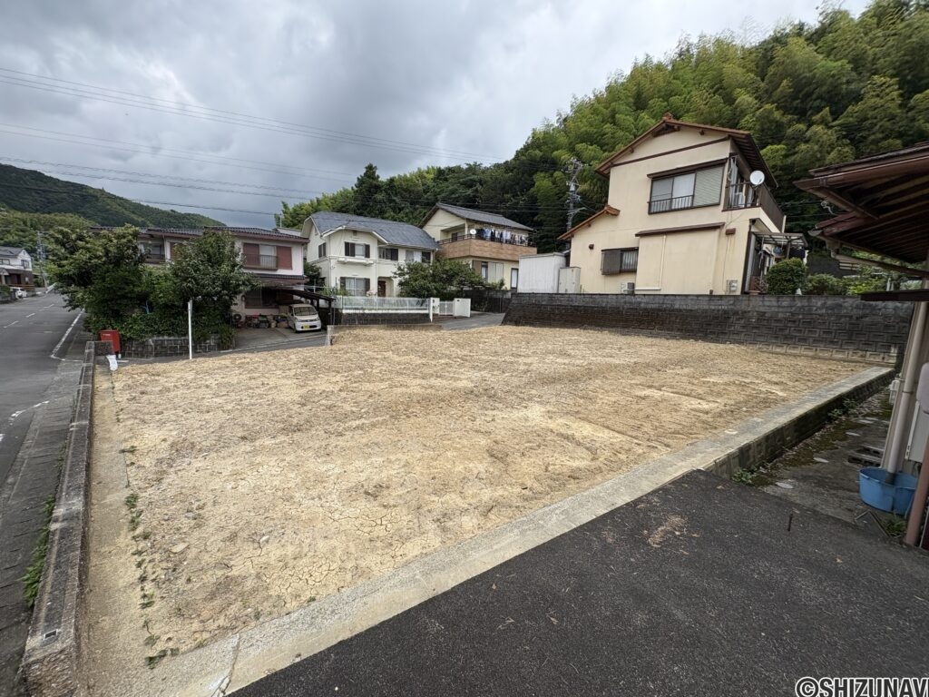 南西から①