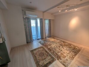 プレシス静岡七間町　4階角部屋　の物件画像