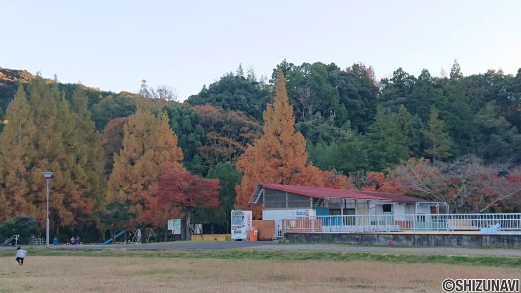 分譲地内の公園では紅葉も楽しめますよ♪
