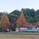 分譲地内の公園では紅葉も楽しめますよ♪
