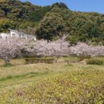 四季を感じることのできる住環境です♪