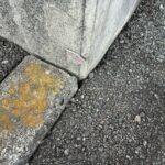 富士宮市万野原新田　パルフェSE　接骨院