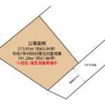 地形図