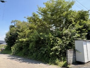 富士宮市青木平　富士宮市立富丘小学校・富士宮第四中学校区の物件画像