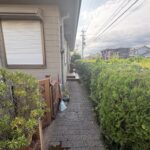 玄関までの通路です。垣根が整備されています。