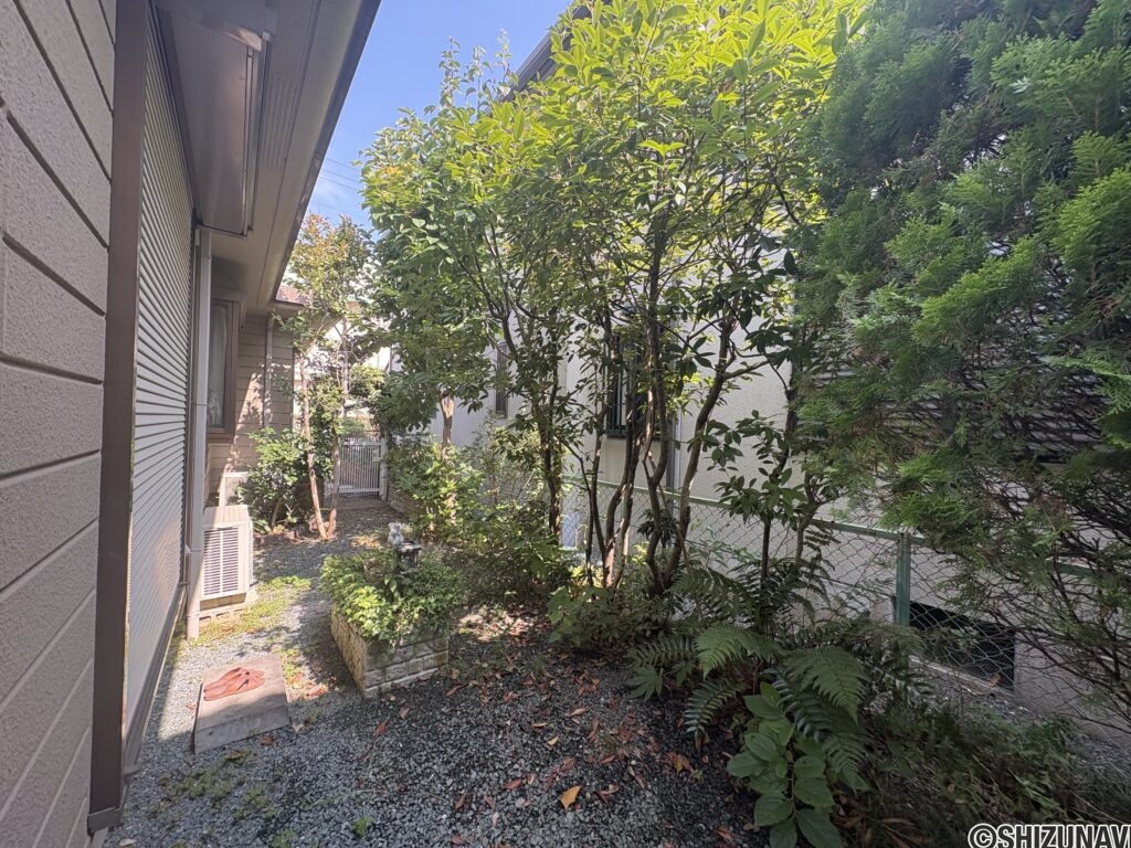 木漏れ日が差す南庭です。