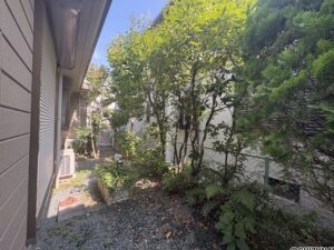 木漏れ日が差す南庭です。